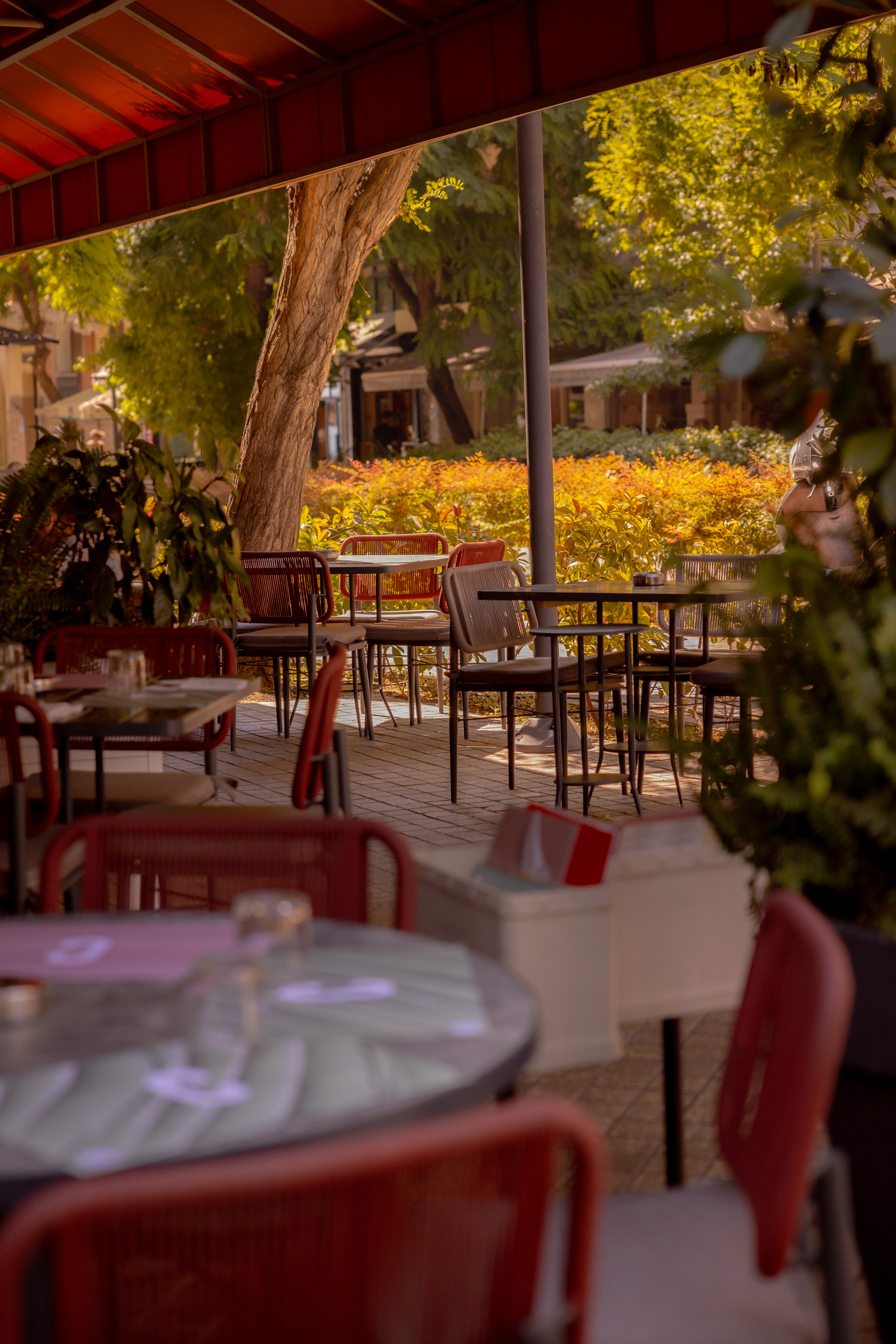 Canteen tables with ambient lighting
